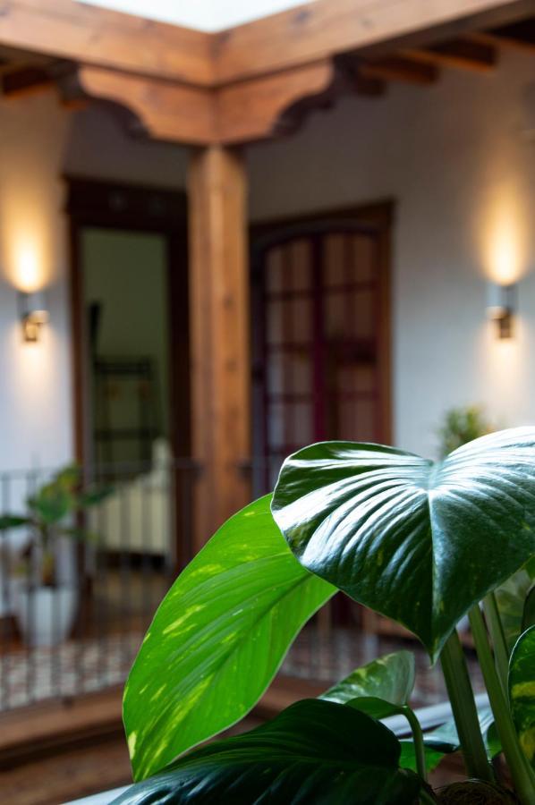La Casa Del Medico Hosteria Rural Urda Buitenkant foto